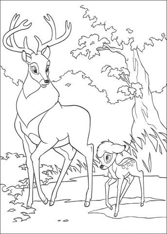 Roe And Bambi Are Walking Together Coloring Page